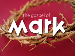 Book of Mark 16 Day Challenge