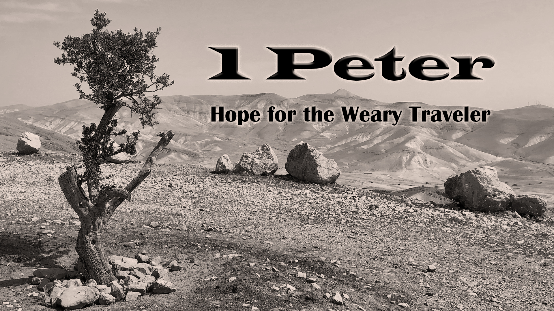 1 Peter Series sepia 1 Peter Series