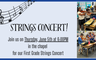 Strings Concert