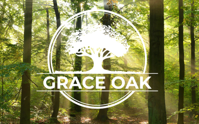 G.O. Camp Sunday!