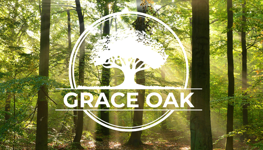 G.O. Camp Sunday!
