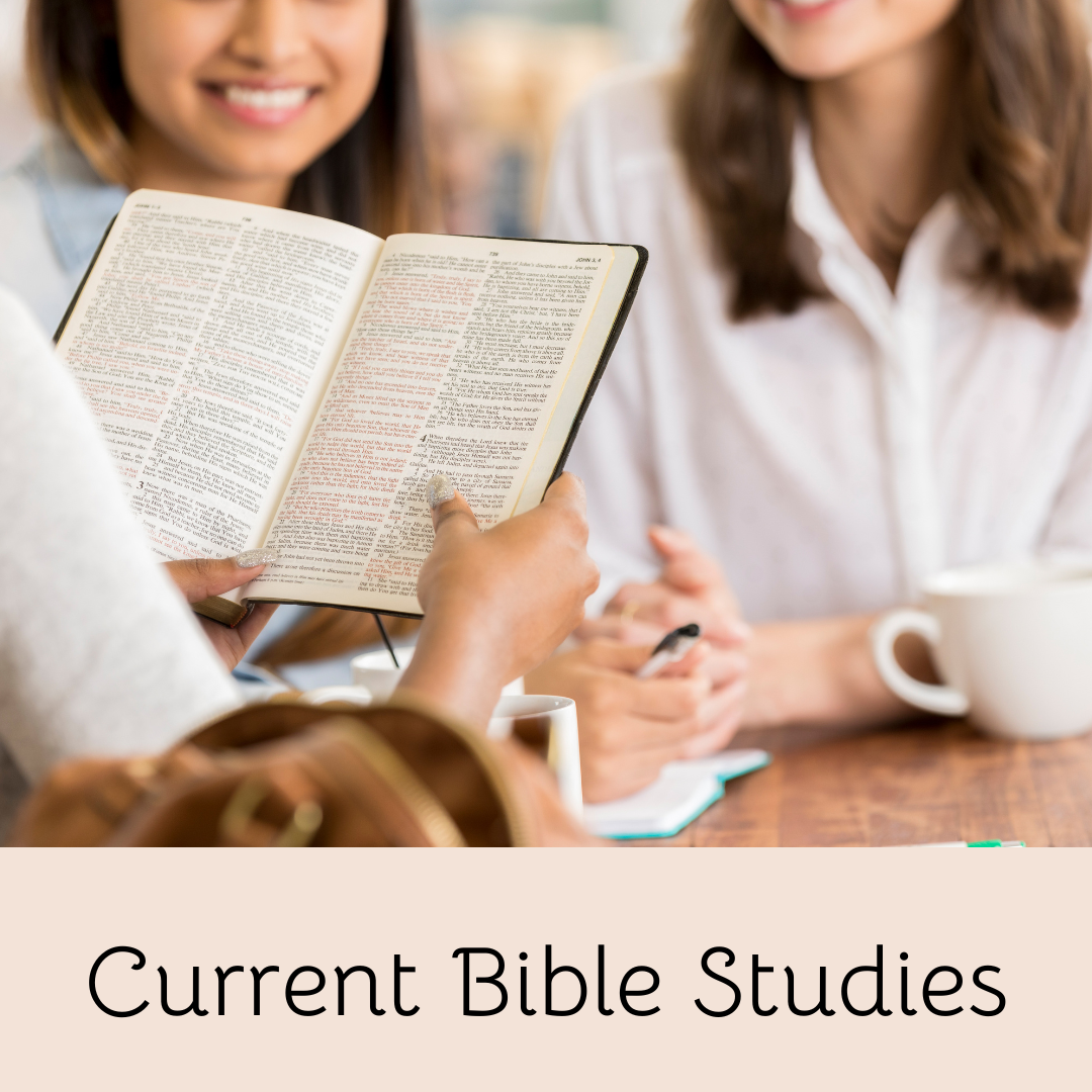 Current Bible Studies