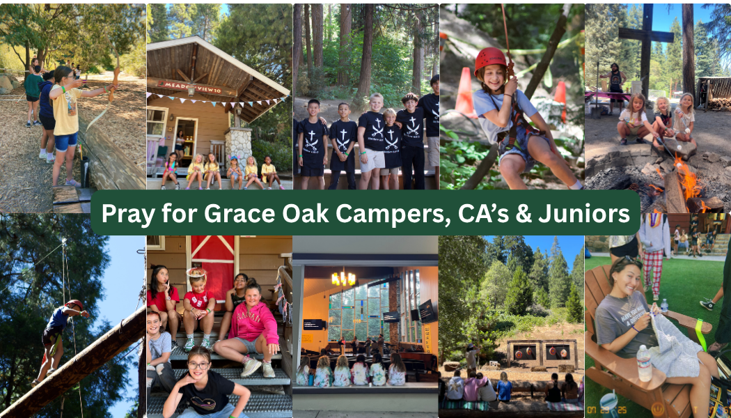Grace Oak Camp